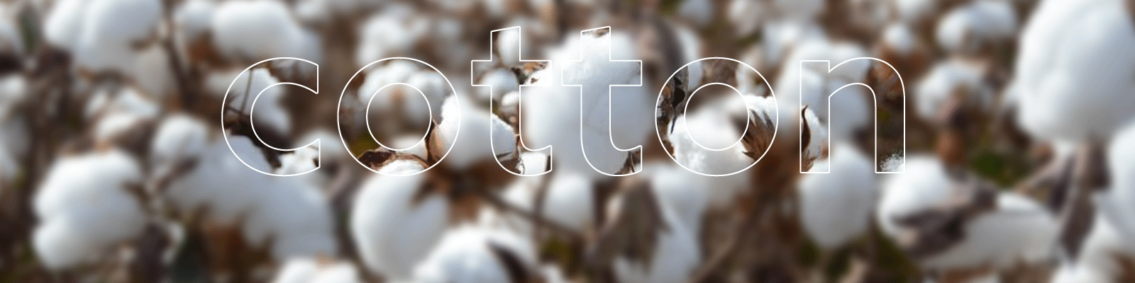 Dlaczego warto wybierać ubrania z bawełny