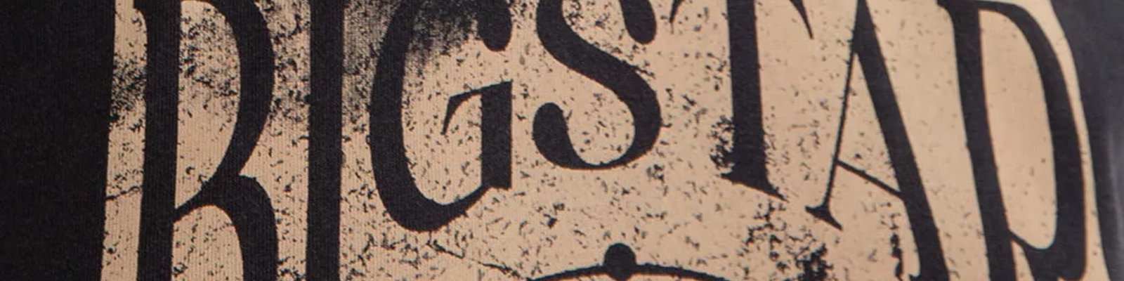 Jak odtworzyć styl Avril Lavigne ubraniami od BIG STAR?